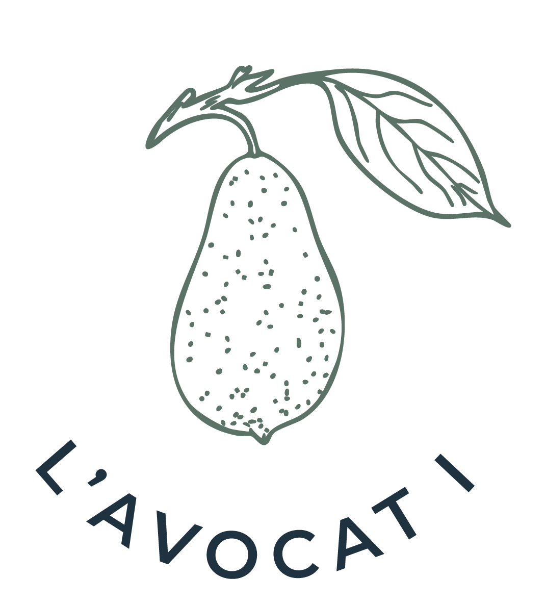 Les Ti Kaz d'Auguste-bungalow-couleurs-l'avocat I Zandolikoko - Studio Corossol