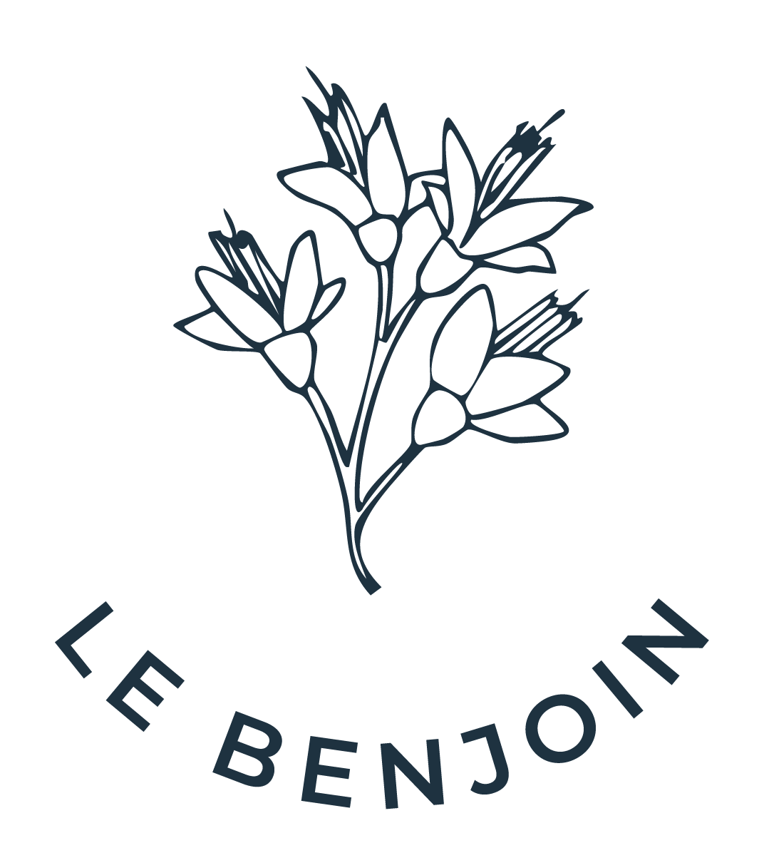 Les Ti Kaz d'Auguste-bungalow-océan-le benjouin