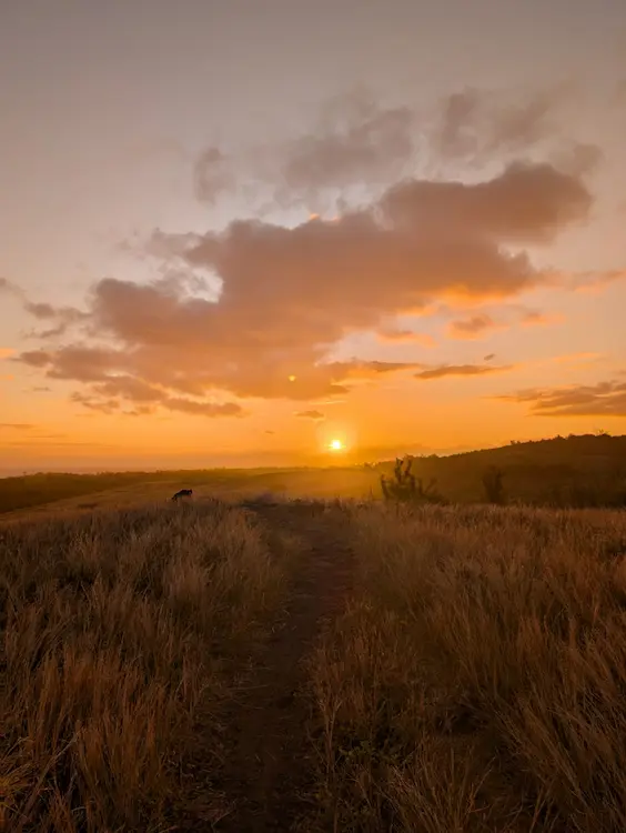 vue-foret-etang-sale-randonnee