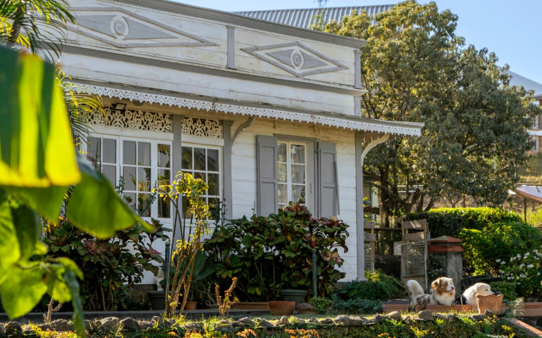 Les musées à La Réunion : les lieux culturels incontournables