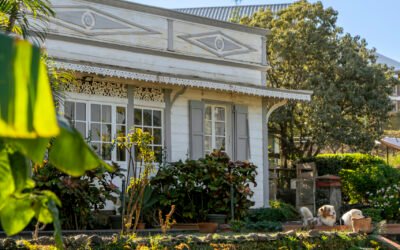Les musées à La Réunion : les lieux culturels incontournables